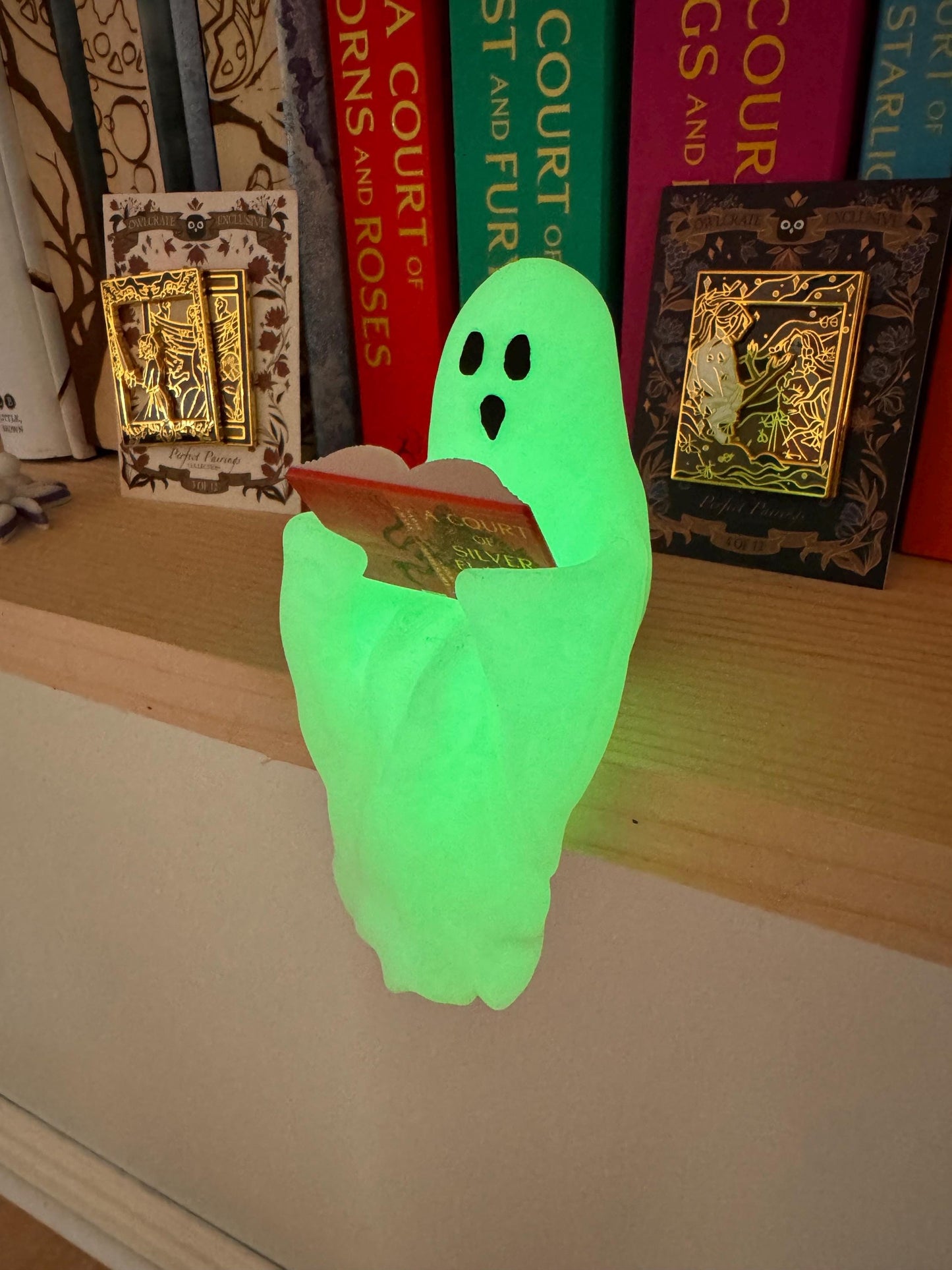 Reading Ghost